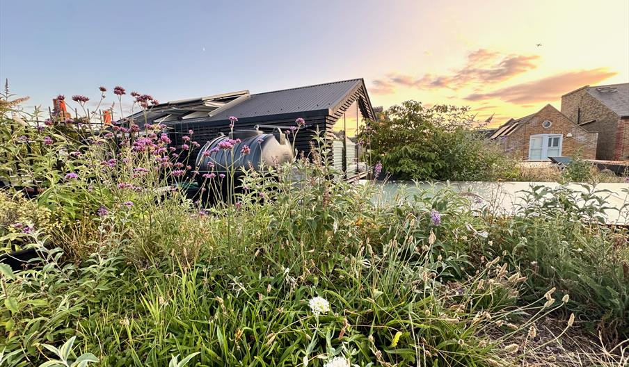 green roof