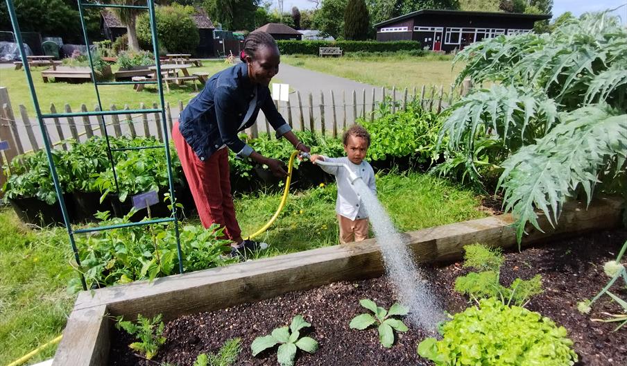 Woman and child watering a bed of plants