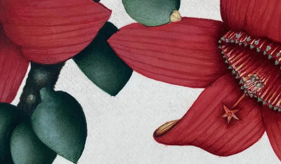 Indian Miniatures Workshop
