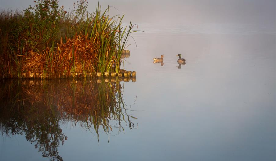 Jackie-Rado - Wildlife Photography