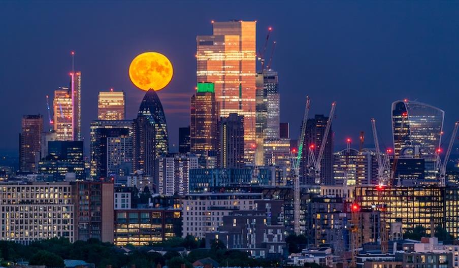 London from the Rooftops
