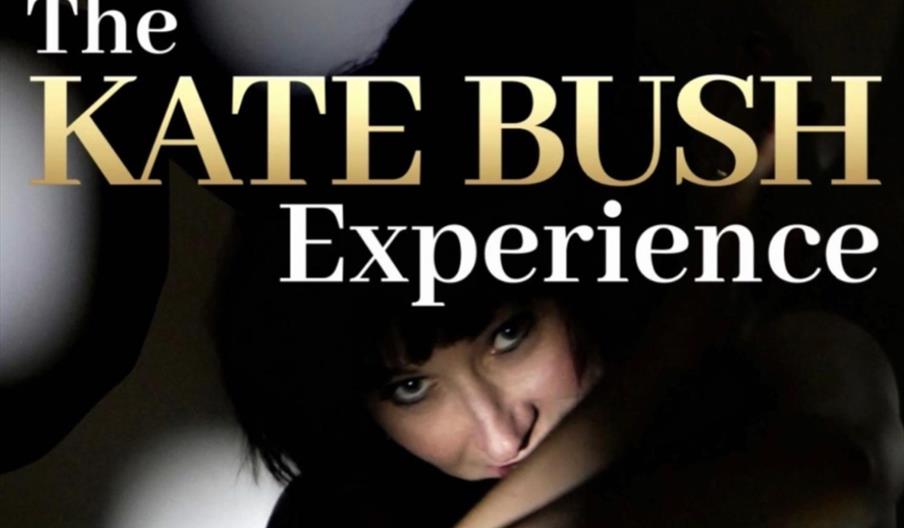 Kate Bush Experience