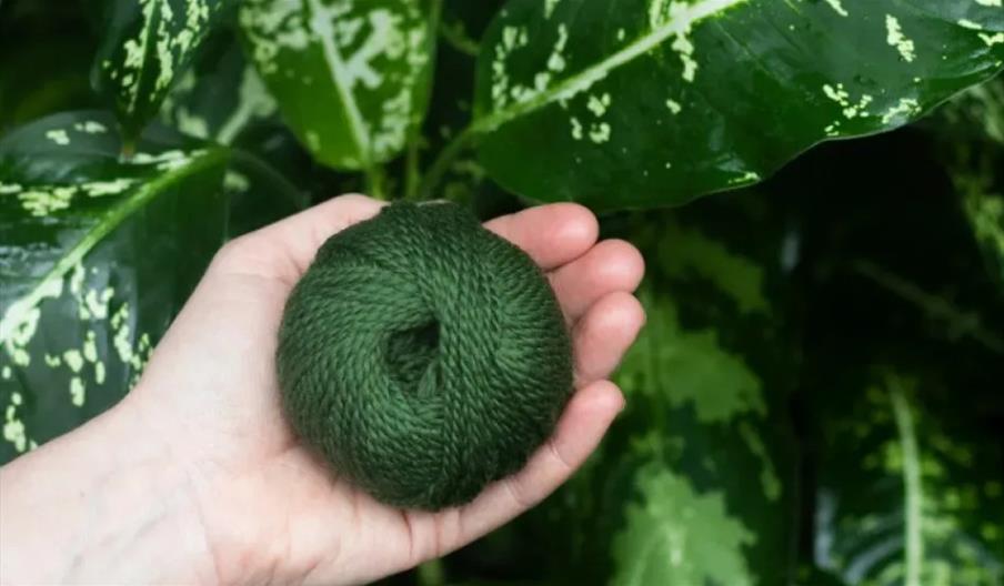 Halloween Amigurumi Crochet Workshop