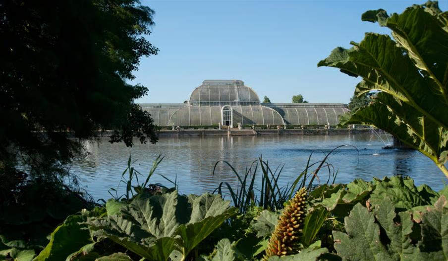 Kew Gardens Admission Ticket