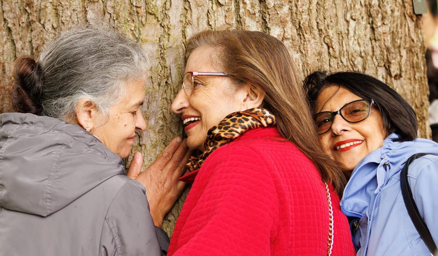 People listening to and feeling a tree.