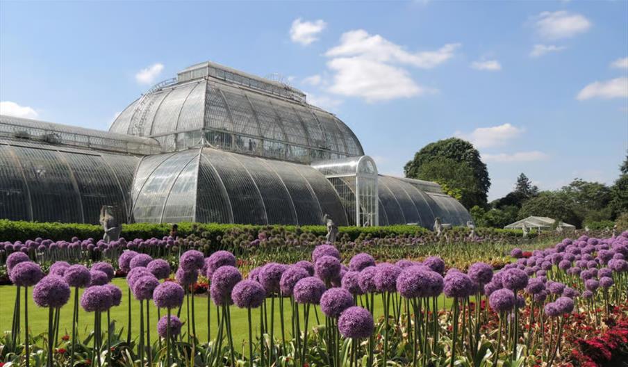 Kew Gardens, Richmond & Ted Lasso Tour