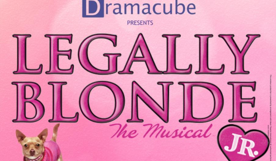 Legally Blonde JR