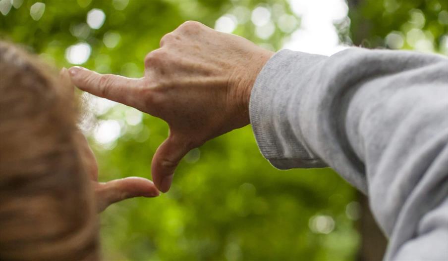 Person looking at trees through their hands like a viewfinder