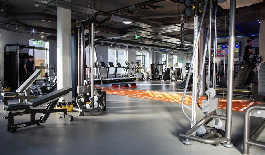 Majestic Fitness Gym Inside Equipment