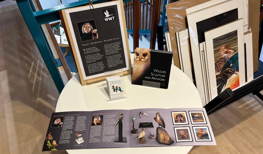 Meet the Artist Live Painting with Tracy Newman