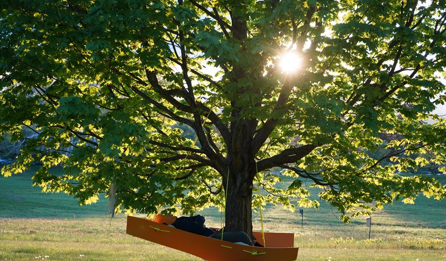 Step into the boat-like hammocks suspended in trees and lie down.