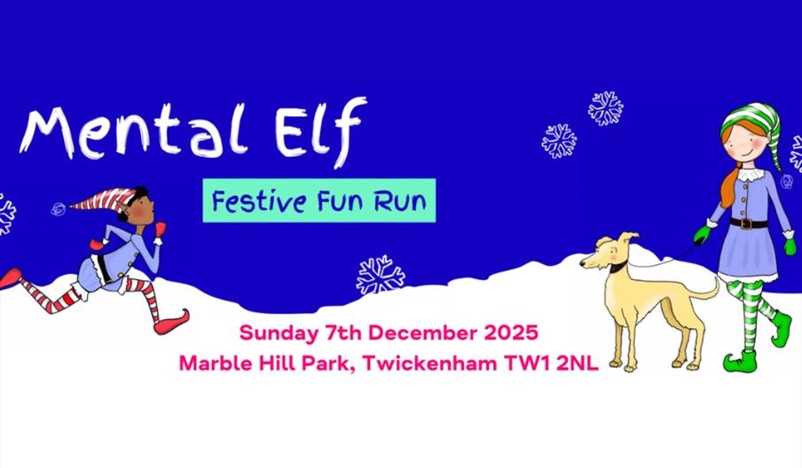 Mental Elf Fun Run