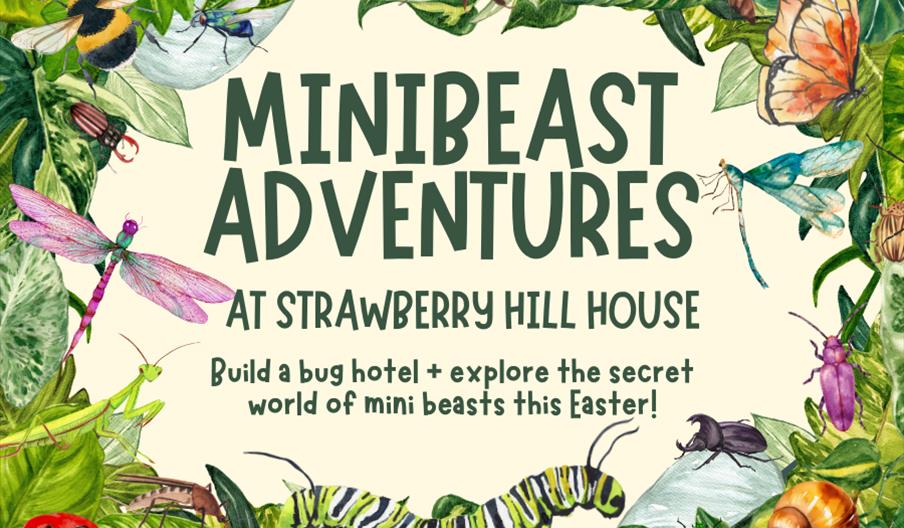 mini beast adventures