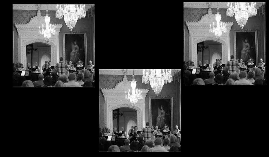 Notes from the Cabinet of Curiosities