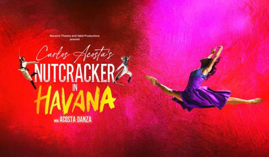 Nutcracker Havana