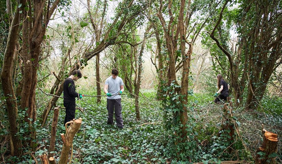 Grow Wild volunteers in Ham Lands (photo by Oliver Monk)