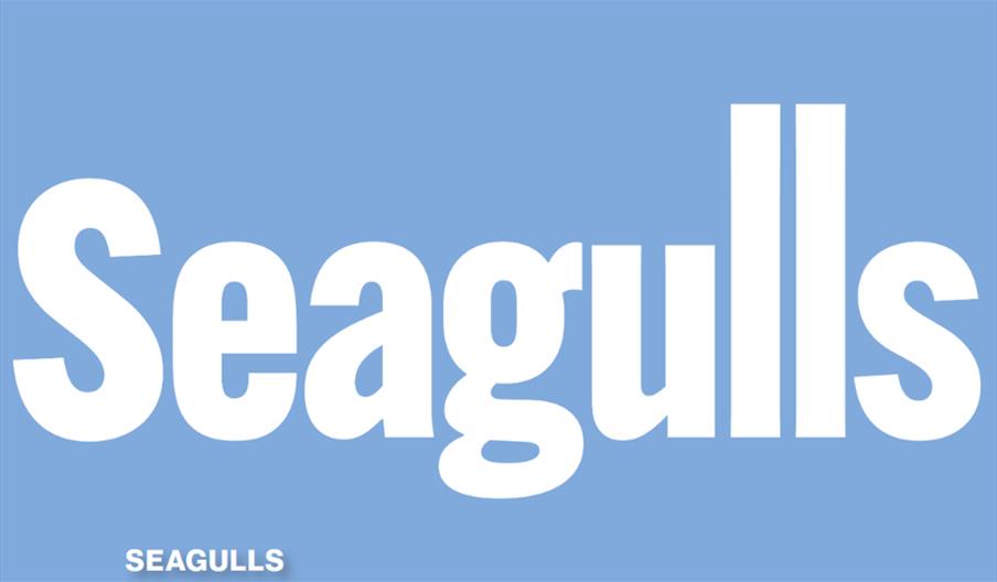 Seagulls