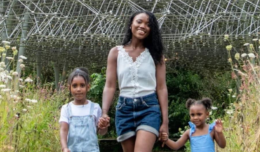 Octonauts Above & Beyond