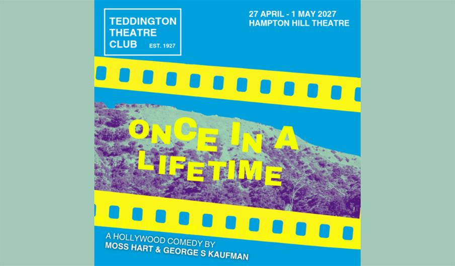 Once in a Lifetime
