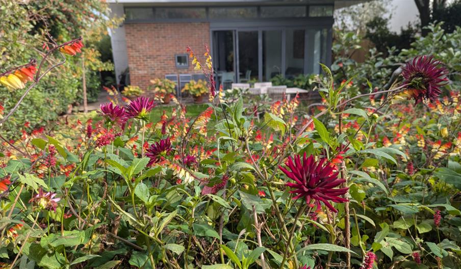 Rear  garden