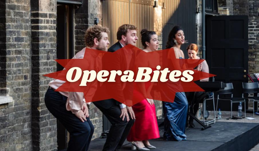 Opera Prelude artists performing