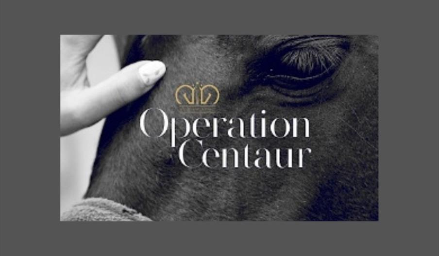 Operation Centaur