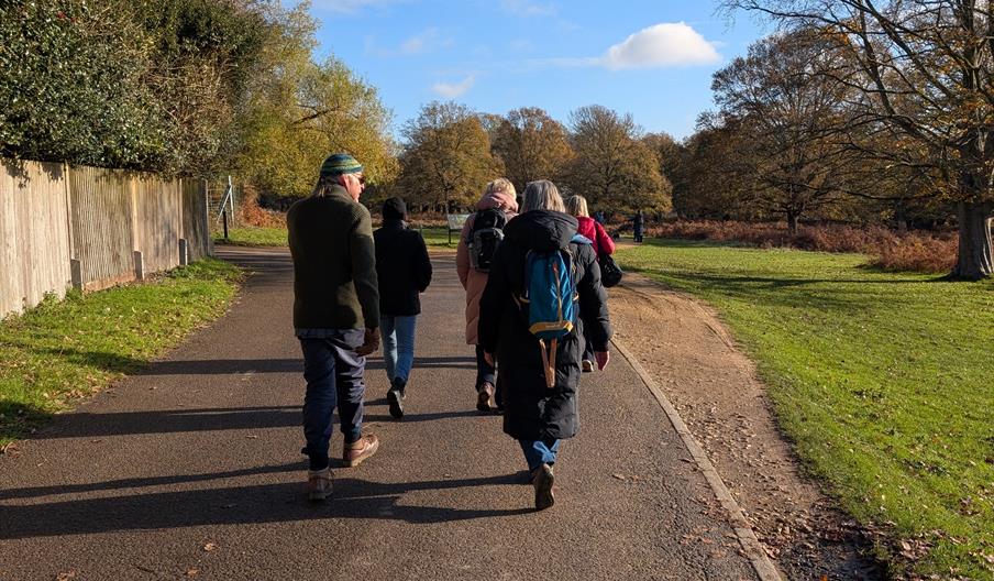 A group of people walking in Richmond Park on a sunny winter day.