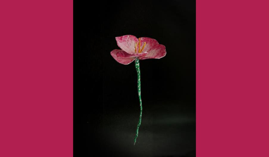 Paper Flower by Eva Fisahn