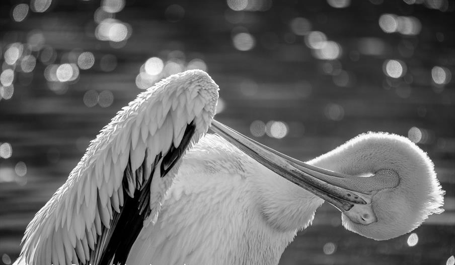 Photography in Nature Workshop - *Image © Jasmine Pasha