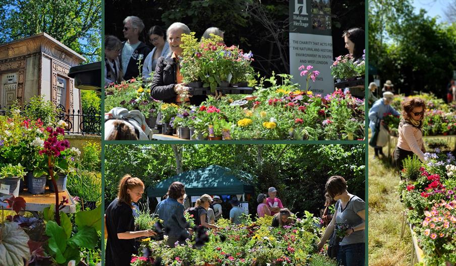 Plant Sale 2022