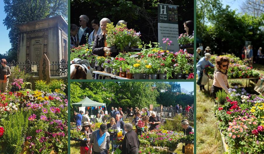 Plant Sale for Wildlife