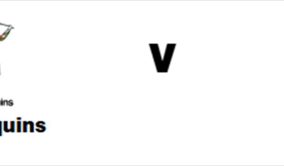 Premiership Rugby Cup Harlequins v Leicester