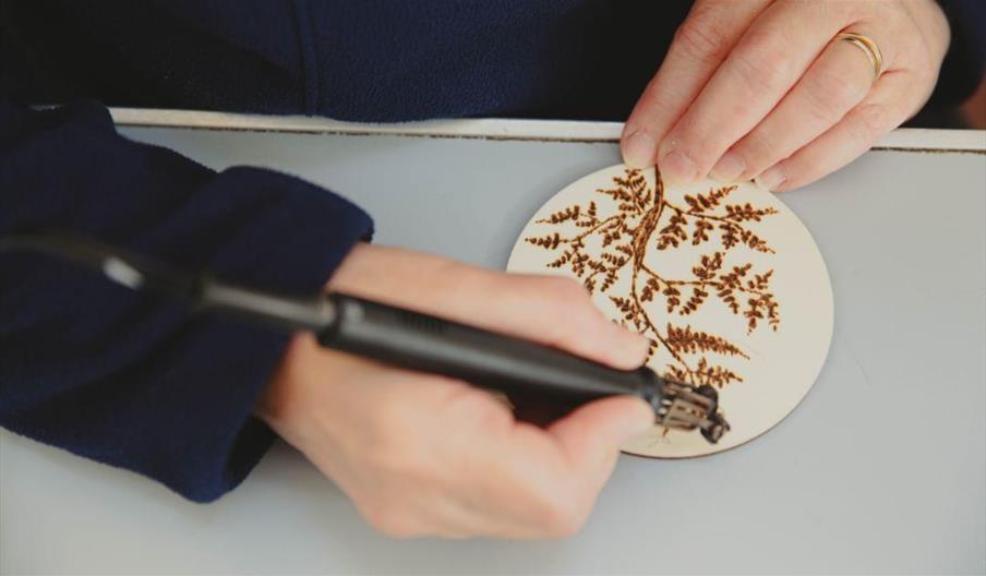 Pyrography Workshop: Dragonflies & Wetland Nature