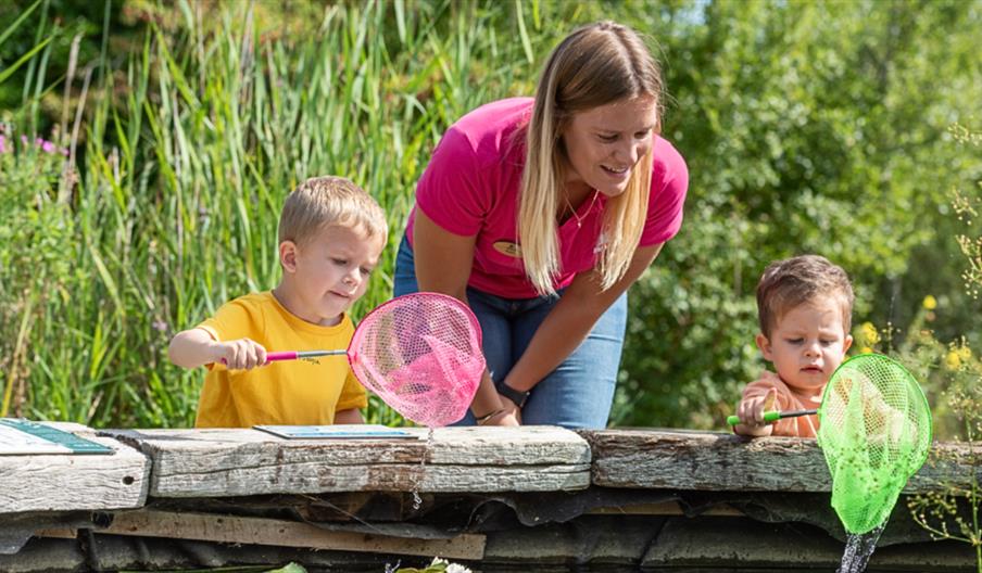 Quiet and Calm Pond Dipping