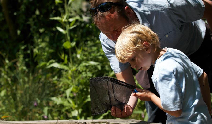 Pond dipping wwt