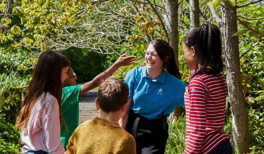 Wednesday Workshops - Summer WWT