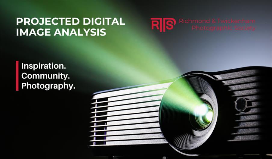 Projector for a digital image
