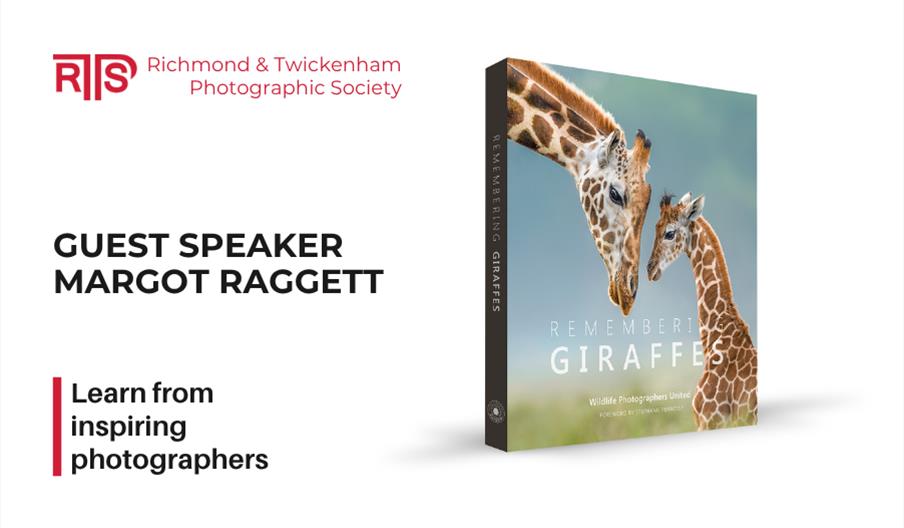 Margot Raggett Remembering Giraffes Book Cover