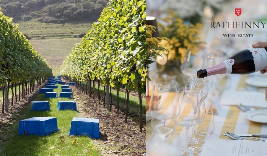 Rathfinny-Shiuli Wine Dinner 24 Jun 25