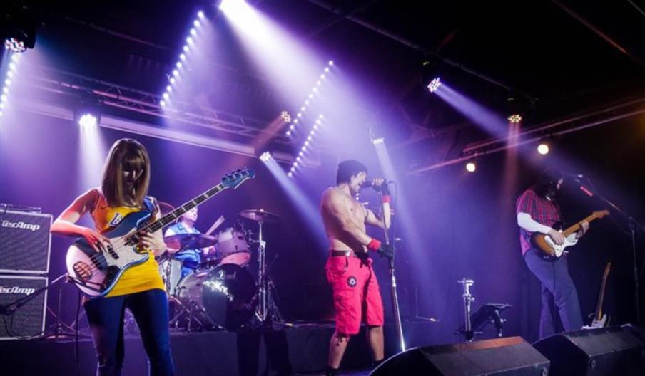 Red Hot Chilli Peppers UK