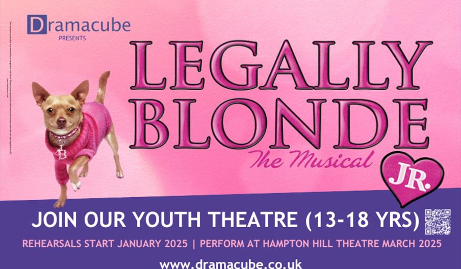 Dramacube Legally Blonde
