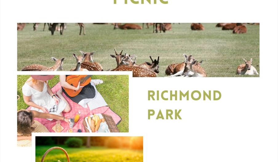 Richmond Park Picnic