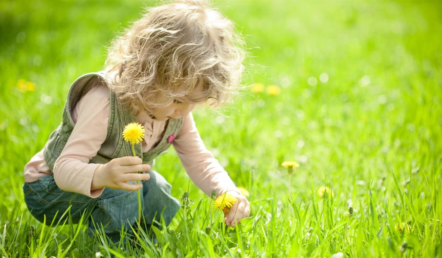 A picture of a kid in garden