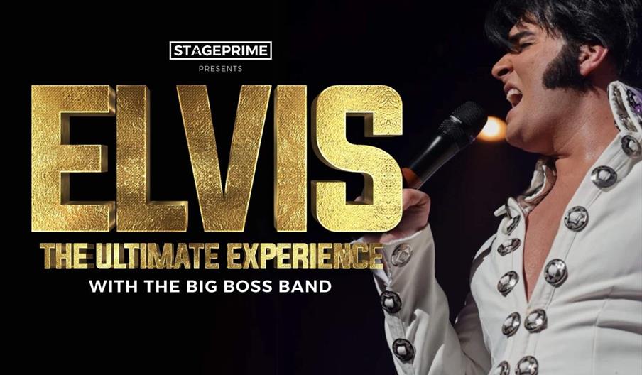 Elvis: The Ultimate Experience