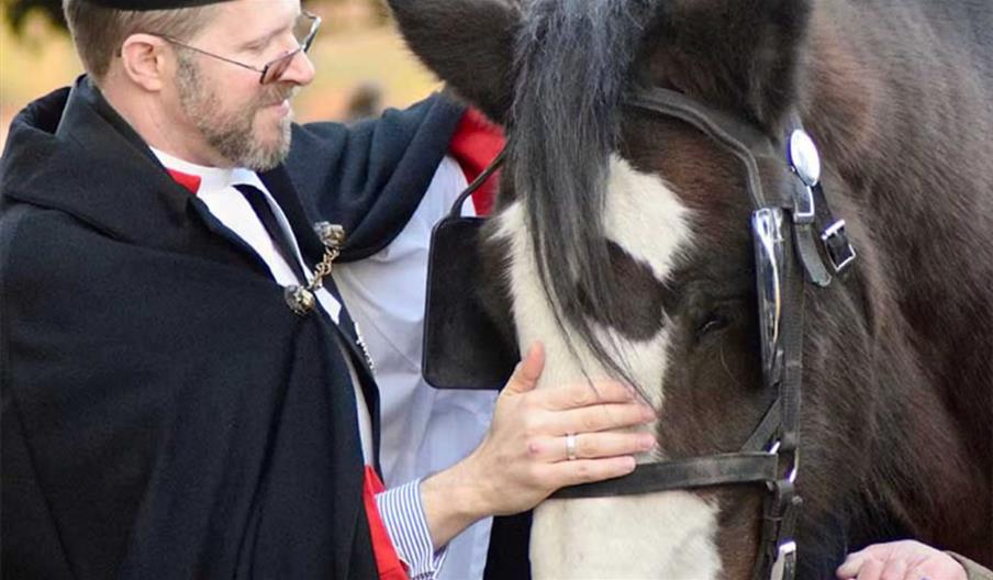 Shire Horse