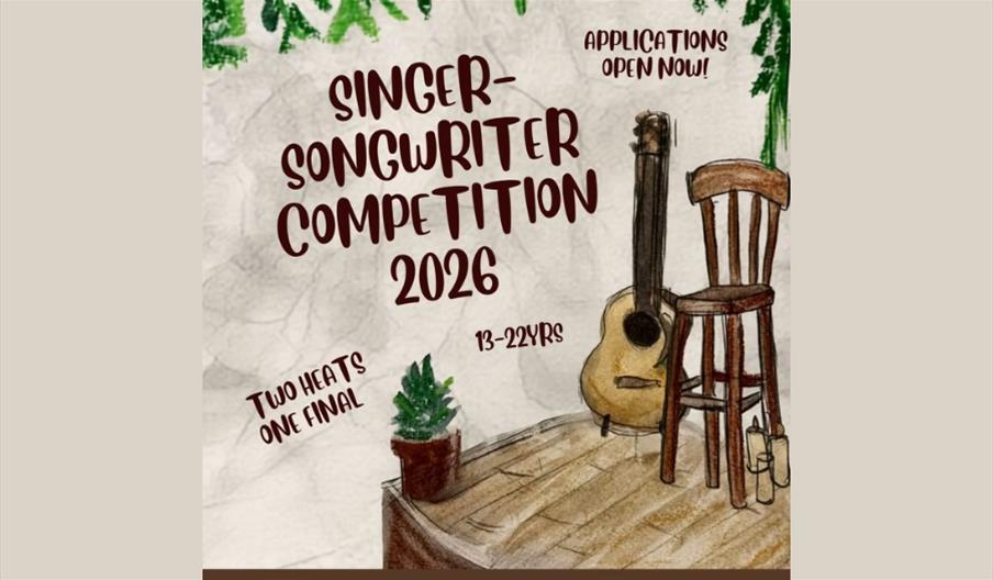 Singer Songwriter Competition