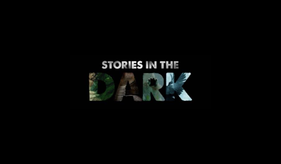 Stories in the dark