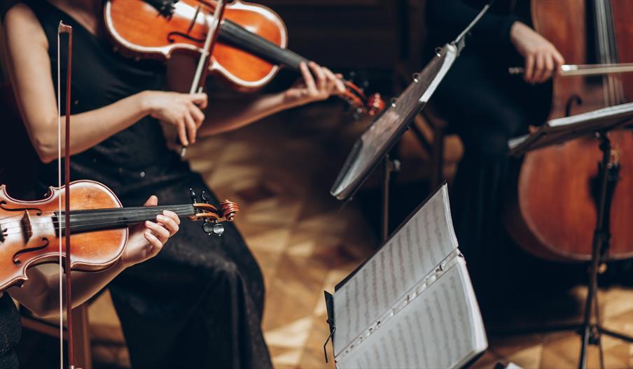 An image of an orchestra of violins, with the musicians dressed in formal black attire, no faces shown