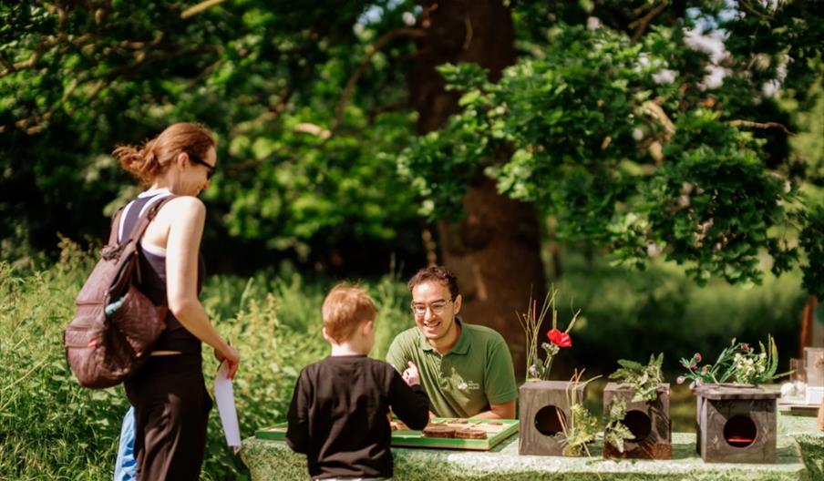 Summer Nature Roadshows (Richmond Park)