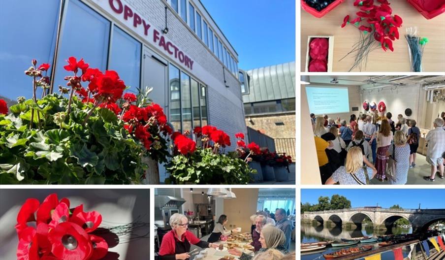 summer at the poppy factory
